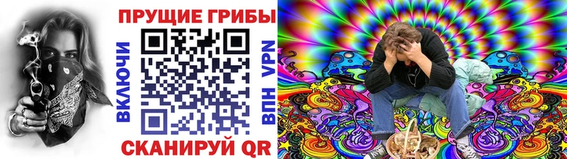 Псилоцибиновые грибы мухоморы  OMG зеркало  Чулым 